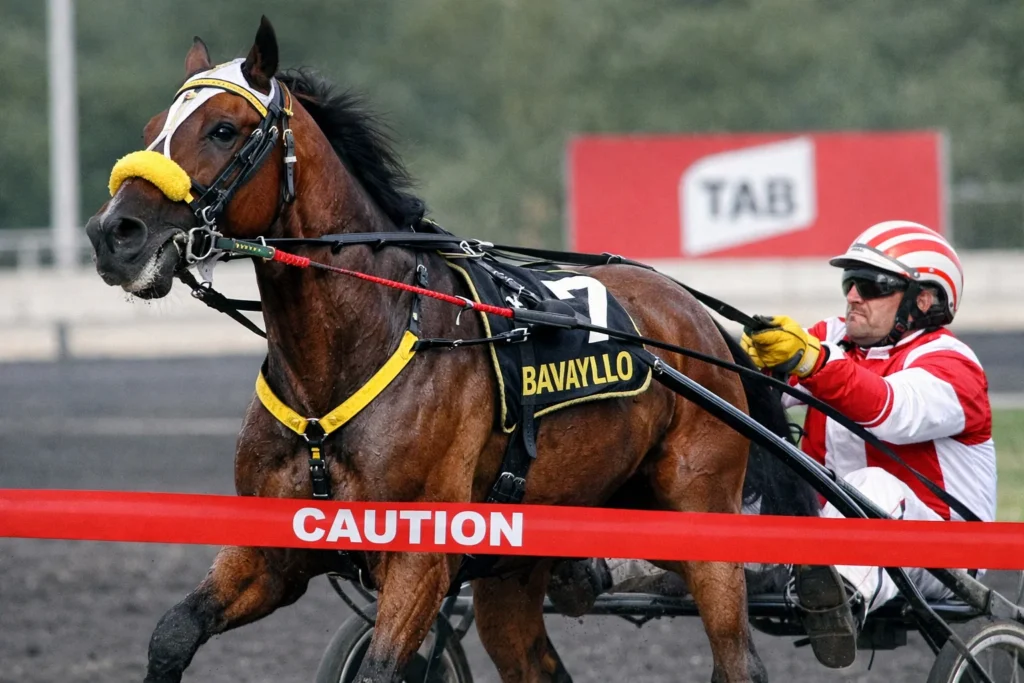 Constraint on Bavayllo: A Clear and Complete Guide 2 task 01kgekvpvrf6sb7604rrdxeyf3 1770017154 img 1