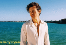 aperture harry stylesa: Understanding the Style, Photography, and Creative Vision 7 aperture harry stylesa