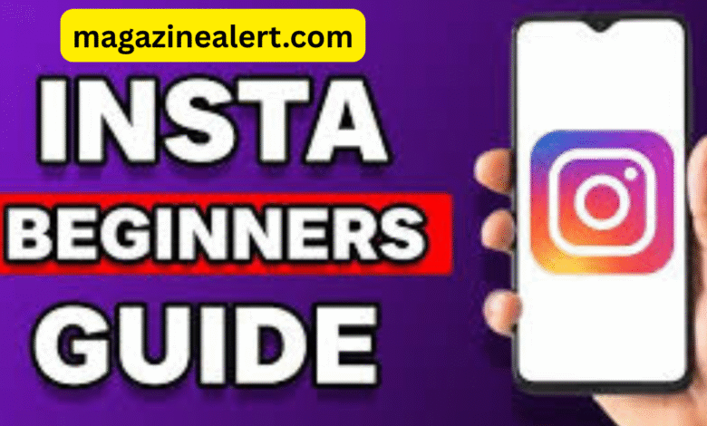 Insta PV: The Complete Beginner-to-Expert Guide to Understanding and Using It Smartly 11 Insta PV