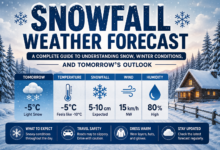 Snowfall Weather Forecast