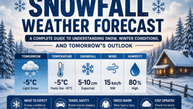 Snowfall Weather Forecast